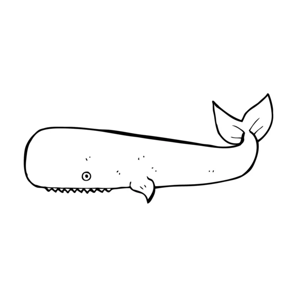 Kreslený velryba — Stockový vektor