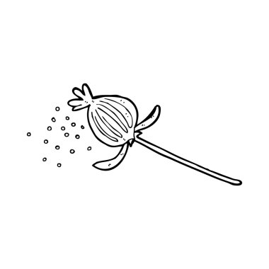 Çizgi film kurutulmuş haşhaş çiçeği.