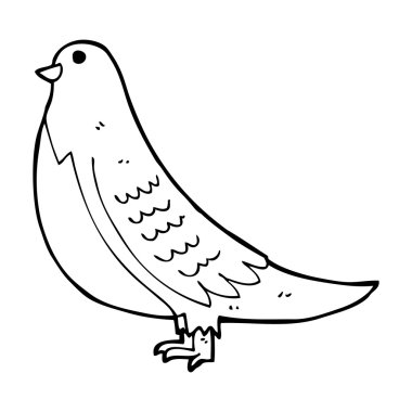 karikatür ortak kuş