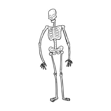 Çizgi Film ürkütücü iskelet