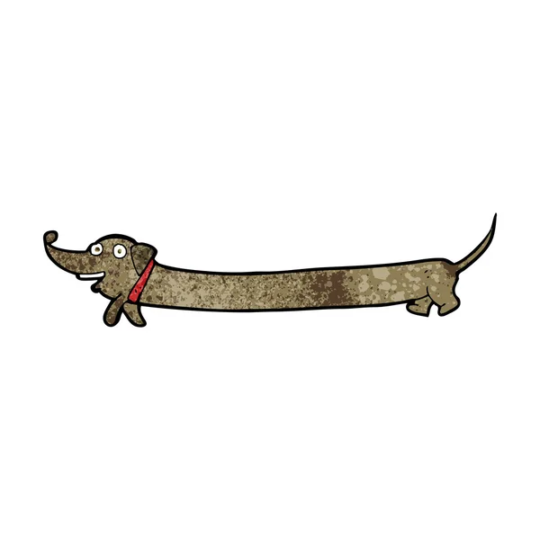 Karikatür dachshund — Stok Vektör