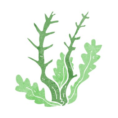 만화 해 초karikatür yosun