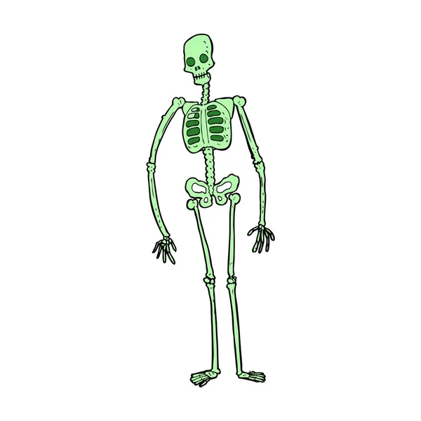 Dessin animé squelette effrayant — Image vectorielle