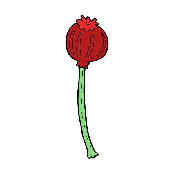 Cartoon dried poppy — Stock Vector