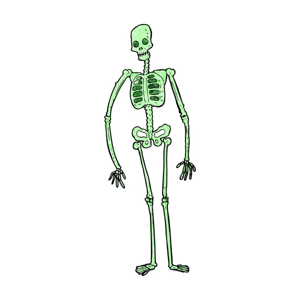 Cartoon spooky skeleton — Stock Vector