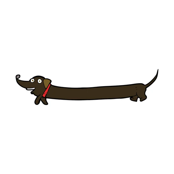 Desenho animado dachshund — Vetor de Stock