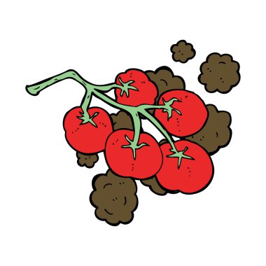 Asma resimli yeşil domates