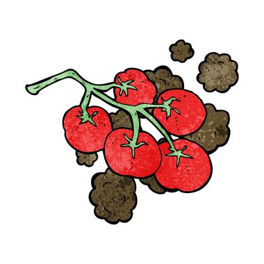 Asma resimli yeşil domates