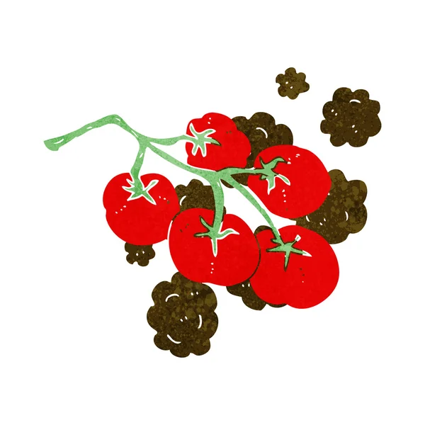 Green tomatoes on vine illustration — Stock Vector