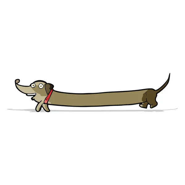 Desenho animado dachshund — Vetor de Stock