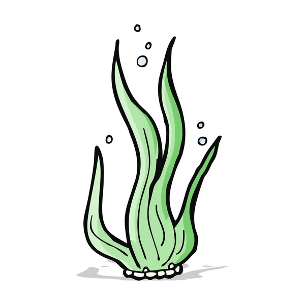 만화 해 초karikatür yosun — Stok Vektör