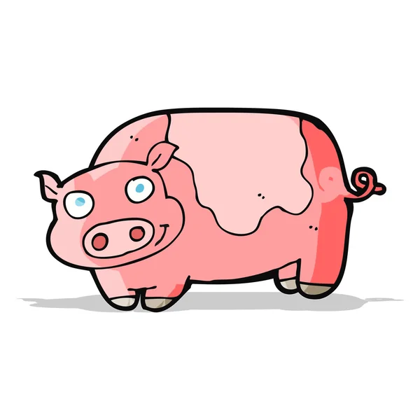 Cartoon pig — Stock Vector