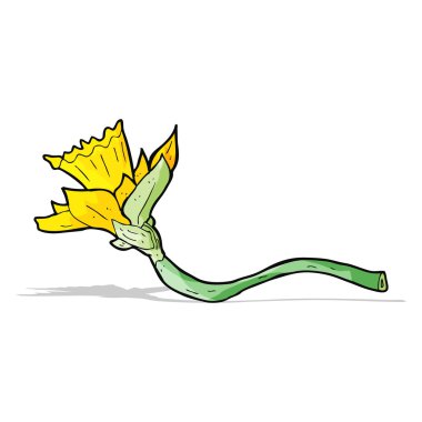 karikatür nergis çiçeği