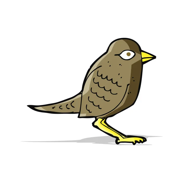 Desenho animado pássaro jardim — Vetor de Stock