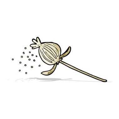 Çizgi film kurutulmuş haşhaş çiçeği.