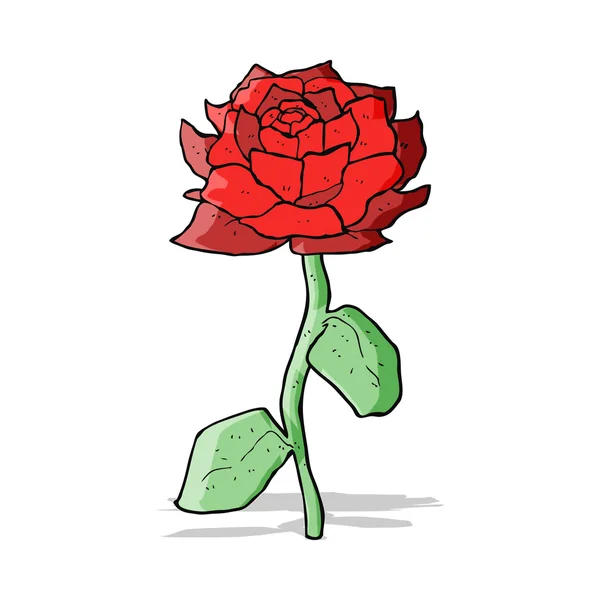 Rose cartoon — Stock Vector