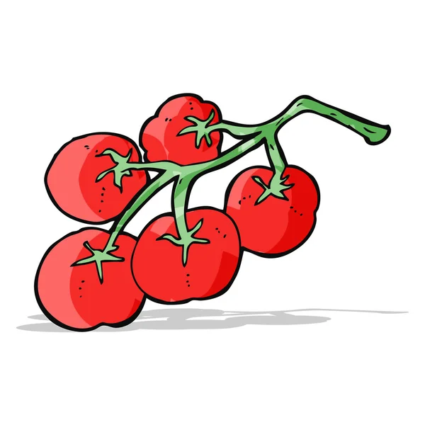 Tomaten auf Reben Illustration — Stockvektor