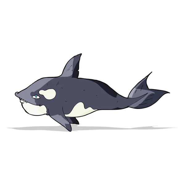 Ballena asesina de dibujos animados — Vector de stock