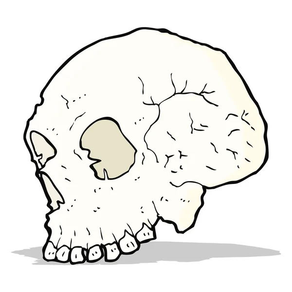 Illustration du crâne — Image vectorielle