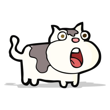 çizgi film şok kedi