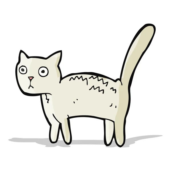 Dibujos animados asustado gato — Vector de stock