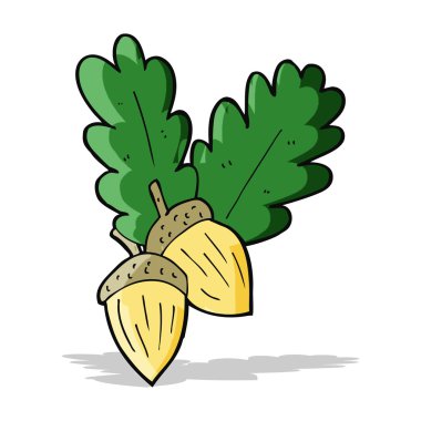 karikatür acorns