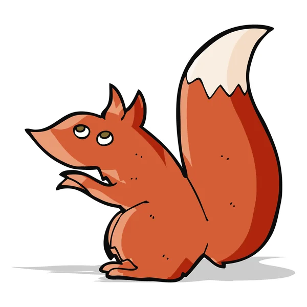 Cartoon red squirrel — Stock Vector