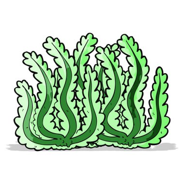 만화 해 초karikatür yosun