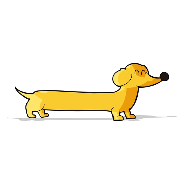 Desenho animado dachshund —  Vetores de Stock