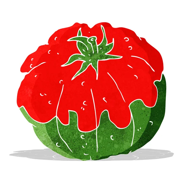 Cartoon tomato — Stock Vector