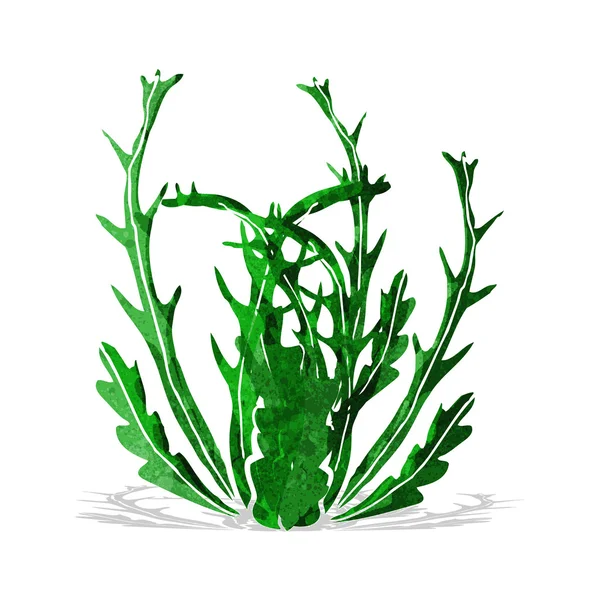 漫画の海藻 — ストックベクタ