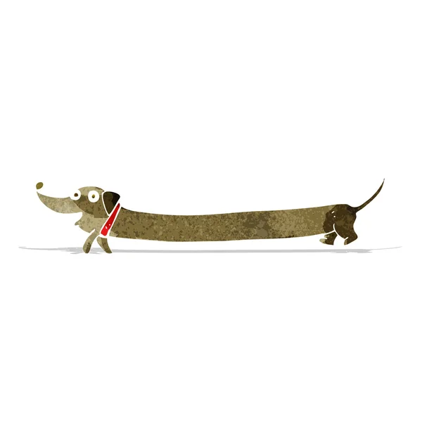 Desenho animado dachshund — Vetor de Stock