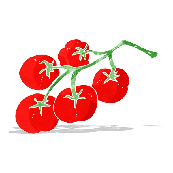 Tomates en la ilustración de la vid — Vector de stock