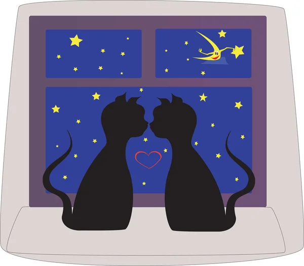 Cats black falling in love — Stock Photo, Image