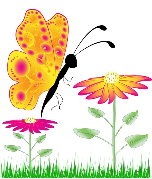 Motýl na květině pozadí — Stock fotografie