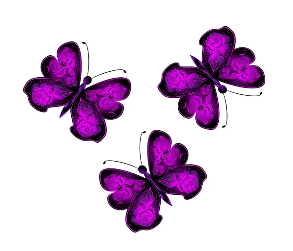 Illustration of bright pink butterflies — Stock Photo, Image