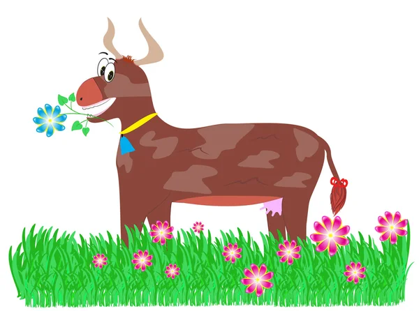 Braune Kuh auf der Weide — Stockfoto