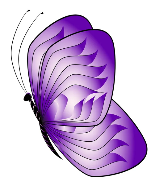 Paarse vlinder — Stockfoto