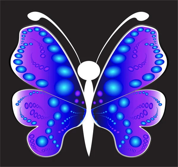 Butterfly on a black background — Stock Vector