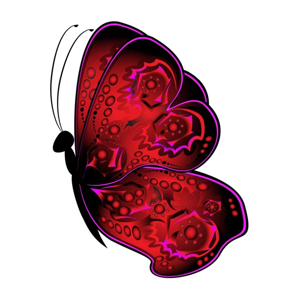 Résumé Papillon — Image vectorielle