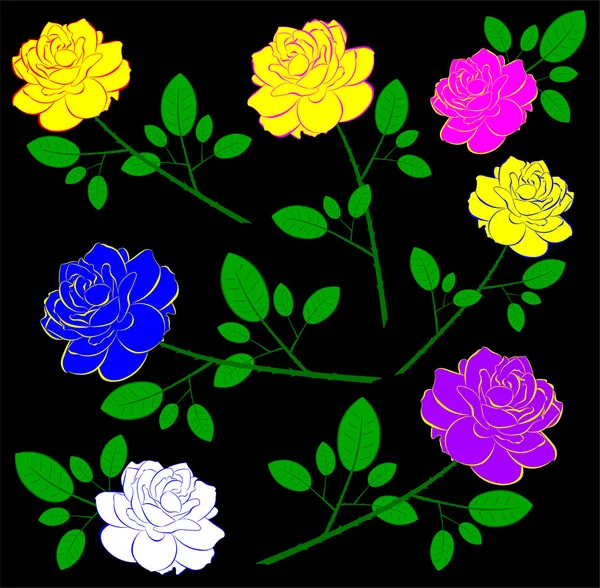 Hermosas rosas — Vector de stock