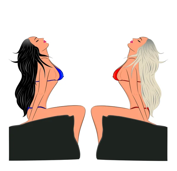 Women with long hair on a rock in a bathing suit on a summer day Vector Graphics