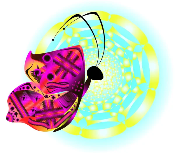 태양의 밝은 나비 — 스톡 사진