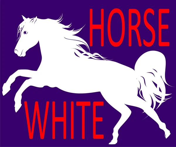 Kůň v pohybu — Stockový vektor