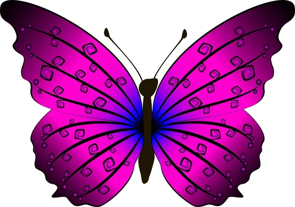 Butterfly — Stock Photo, Image