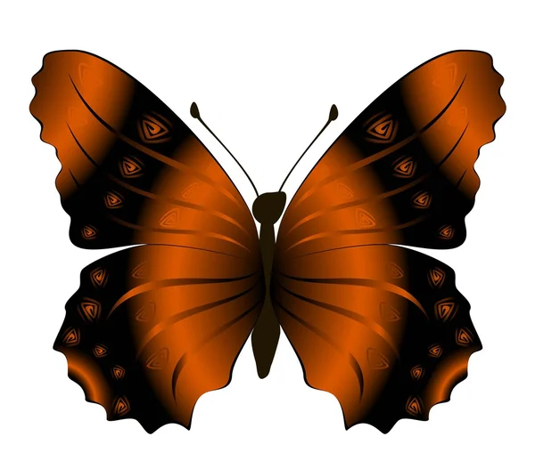 Abstraktní motýl — Stockový vektor