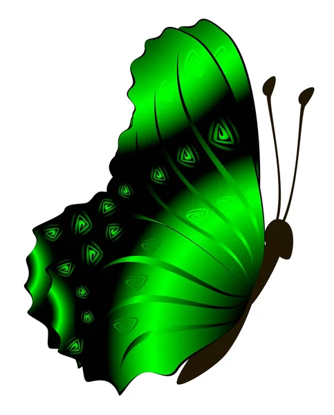 추상적 나비 — 스톡 벡터