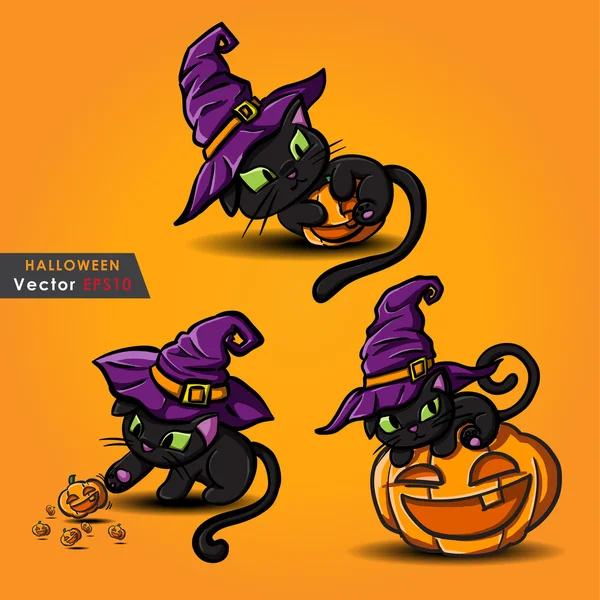 Halloween black cat wearing witches hat and pumpkin — Stock Vector