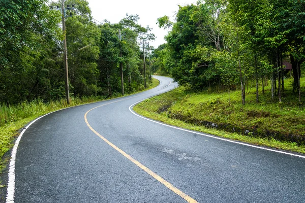 Caminho de curva de estrada de asfalto através do campo verde — Fotografia de Stock