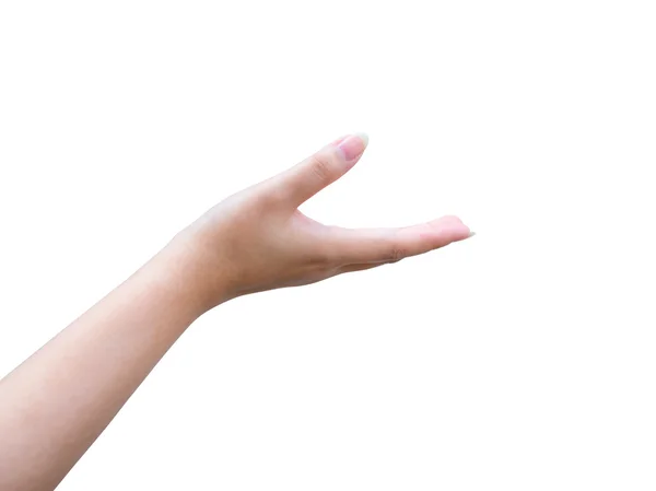 Empty hand isolated on white background — Stock Photo, Image